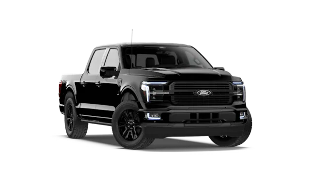 Platinum® trim image